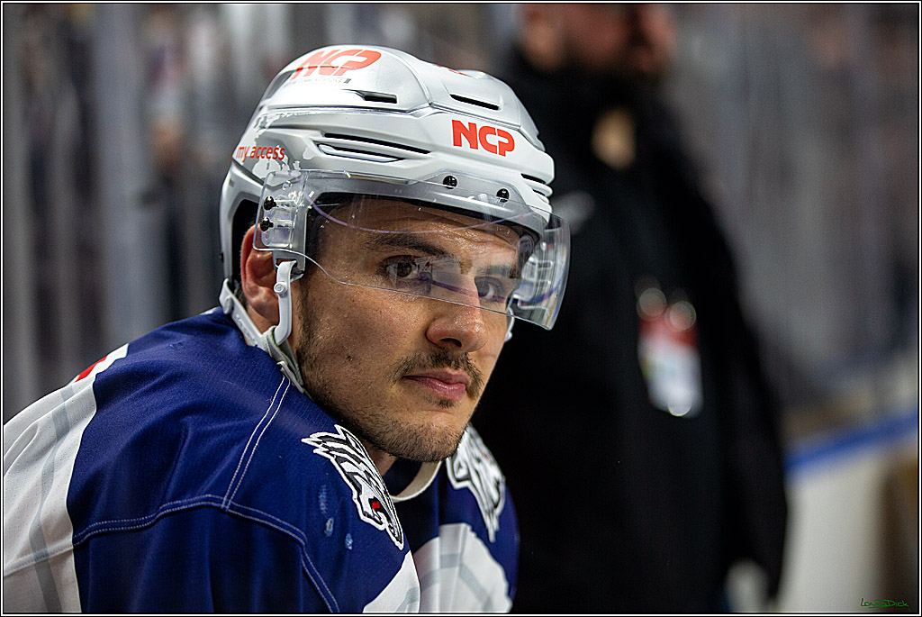 PENNY DEL; Koelner Haie- Nuernberger Ice Tigers; Koeln, 18.11.2022